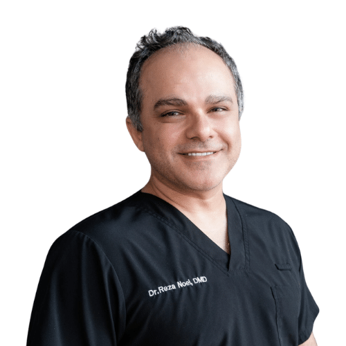 Dr Mohammad Reza Noei